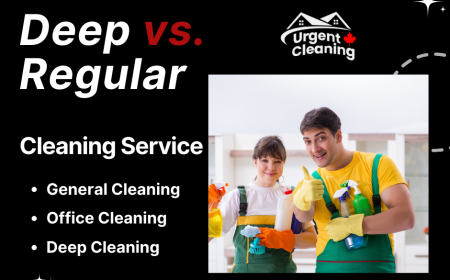 Deep Cleaning vs. Regular Cleaning: When and Why You Need Each