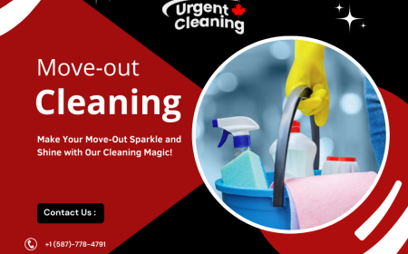 Move-In / Move-Out Cleaning Service