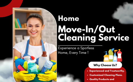 Move-Out Cleaning Services: Ensuring a Smooth Transition