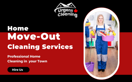 The Essential Guide to Move-Out Cleaning Services in Edmonton