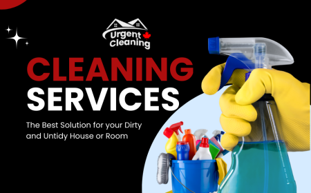 Keep Your Home Immaculate with Professional Home Cleaning Services in Edmonton