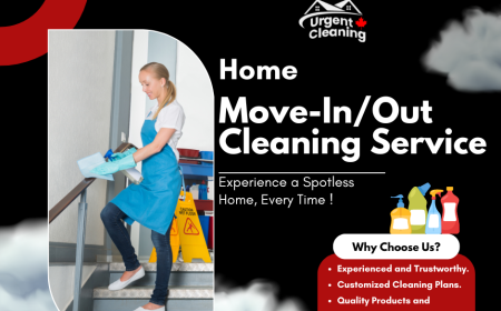 The Ultimate Guide to Move-Out Cleaning Services in Edmonton