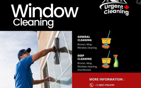 Professional Window Cleaning Service in Edmonton – Clear Views, Brighter Spaces