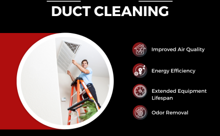 Breathe Fresh Air: The Importance of Furnace and Duct Cleaning Services in Edmonton