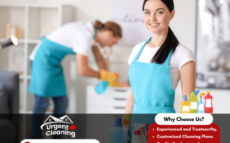 Commercial Cleaning Services in Edmonton: Elevating Workplace Hygiene and Productivity