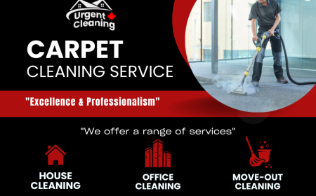 The Ultimate Guide to Carpet Cleaning Services in Edmonton