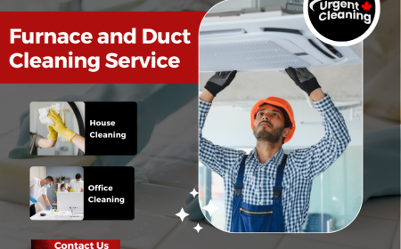Furnace and Duct Cleaning Service in Edmonton: Why It's Essential for Your Home