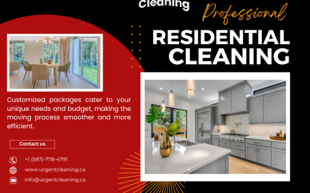 Residential Clean-Up Services: A Comprehensive Guide for a Healthier Home