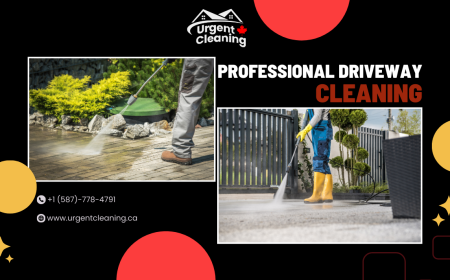 Revive Your Driveway with Professional Cleaning Services